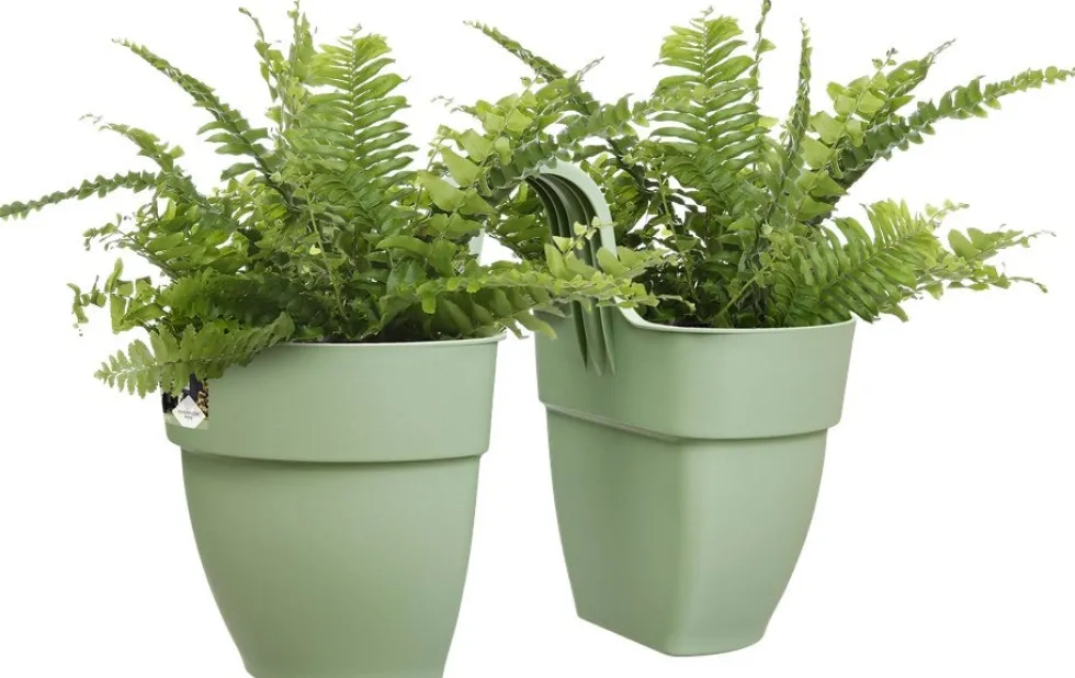 Elho balkonbak Vibia Campana Flower Twin groen 20,5 x 38,4 x 26,5 cm