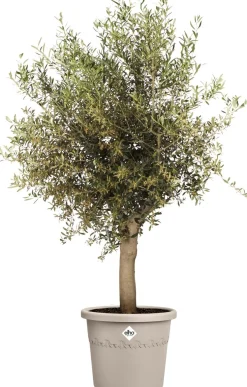 Elho bloempot Algarve beige D 29 H 24,6 cm
