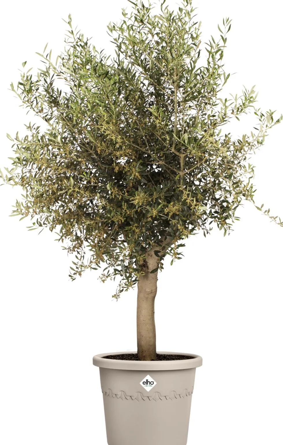 Elho bloempot Algarve beige D 29 H 24,6 cm
