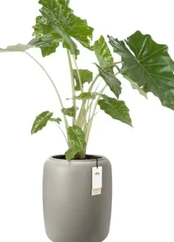 Elho bloempot Amber beige D 39 H 48 cm