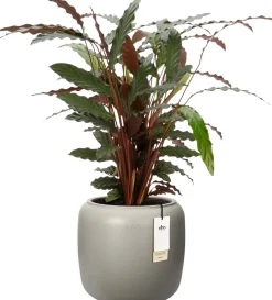 Elho bloempot Amber beige D 39 H 35 cm