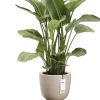 Elho bloempot Amber Coupe beige 35 D 49 H cm