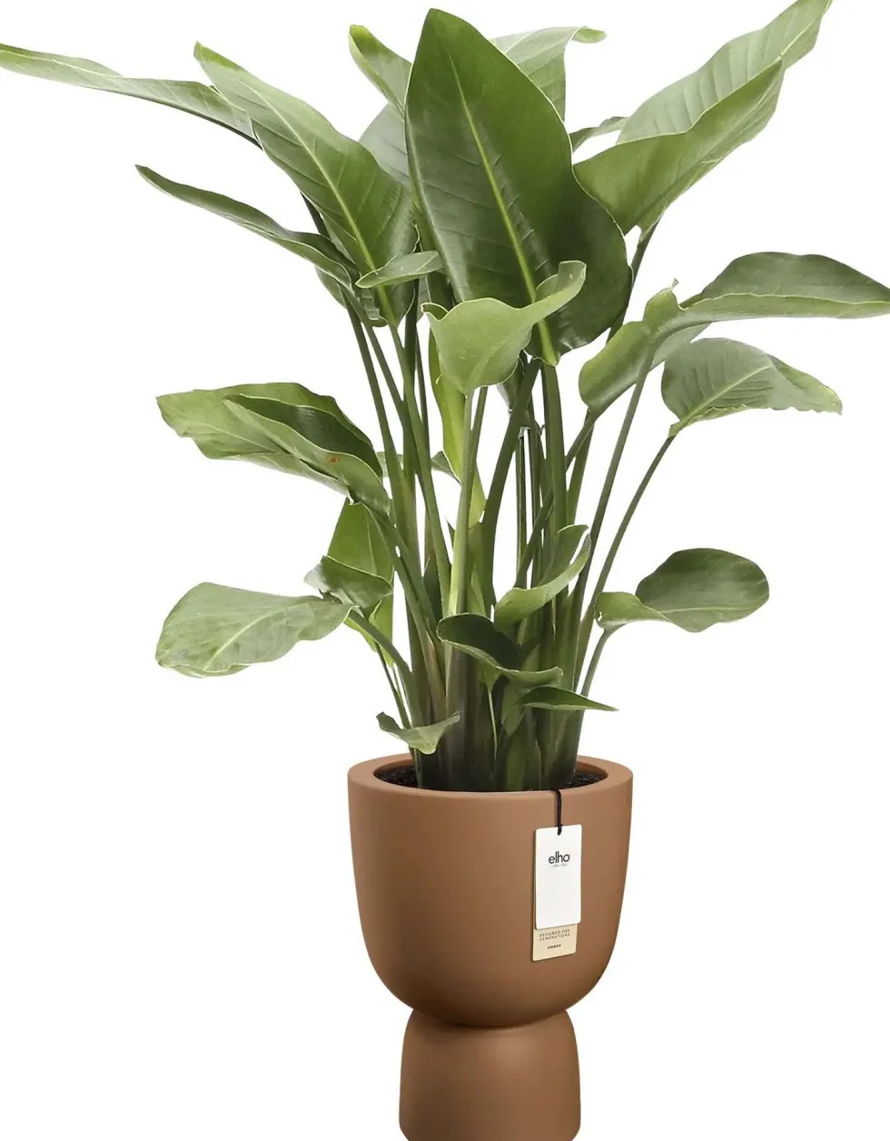 Elho bloempot Amber Coupe bruin D 41 H 58 cm