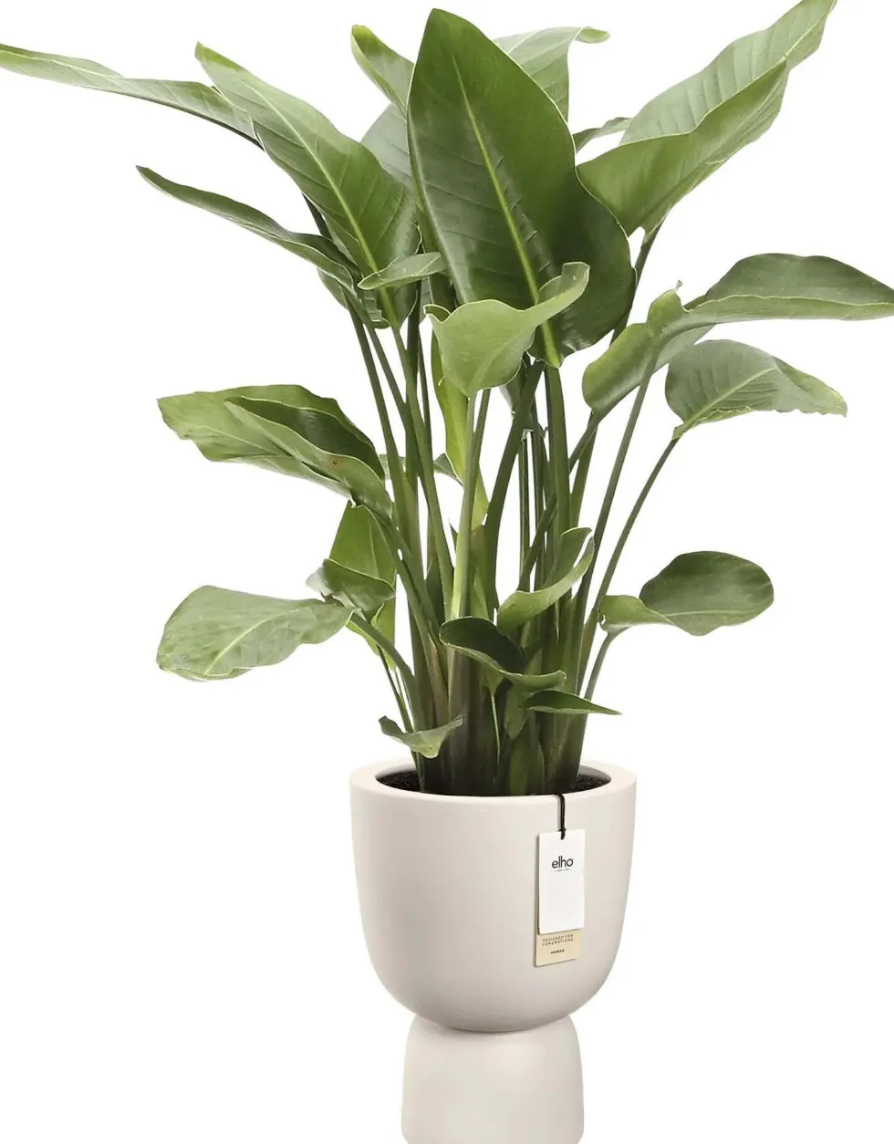 Elho bloempot Amber Coupe wit D 41 H 58 cm