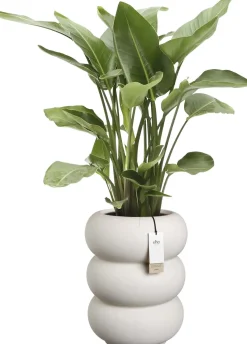 Elho bloempot Amber Roll wit D 43 H 58 cm