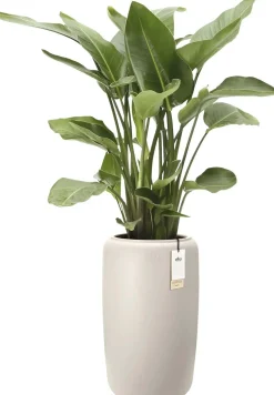 Elho bloempot Amber wit D 39 H 66 cm