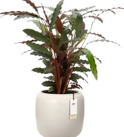 Elho bloempot Amber wit D 39 H 35 cm