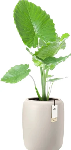 Elho bloempot Amber wit D 39 H 48 cm
