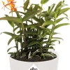 Elho bloempot B. for original wit D 29,5 H 27,3 cm