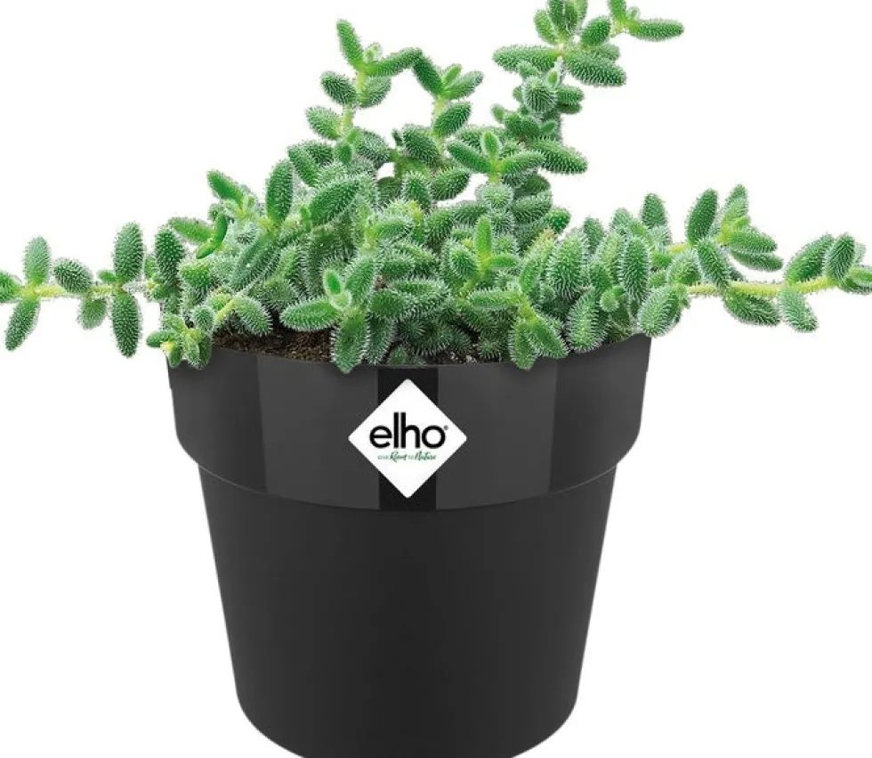 Elho bloempot B. for original zwart D 6,6 H 6 cm