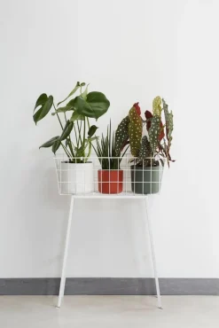 Elho bloempot B. for soft groen D 16 H 15 cm