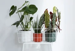 Elho bloempot B. for soft wit D 18,3 H 16,7 cm
