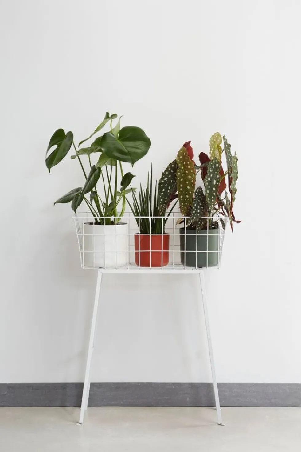 Elho bloempot B. for soft wit D 13,8 H 12,5 cm