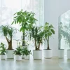 Elho bloempot B. for soft wit D 24,7 H 23,2 cm
