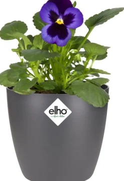 Elho bloempot Brussels antraciet D 11 H 9,7 cm