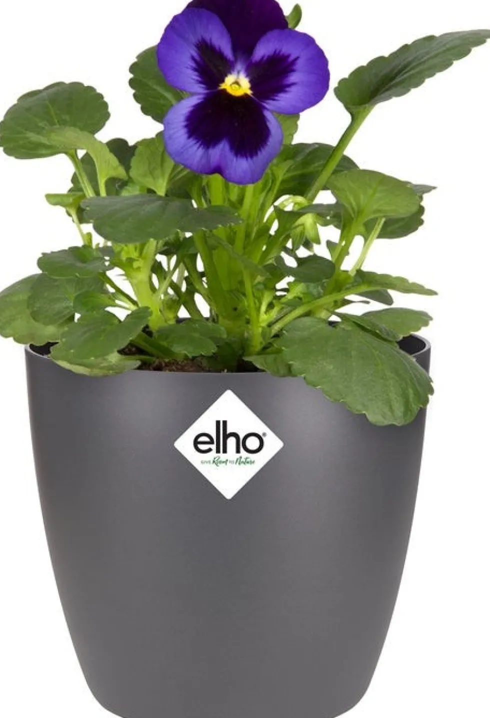 Elho bloempot Brussels antraciet D 11 H 9,7 cm