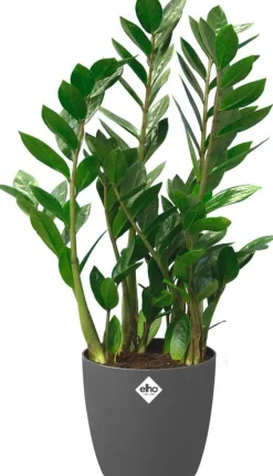Elho bloempot Brussels antraciet D 35 H 33 cm