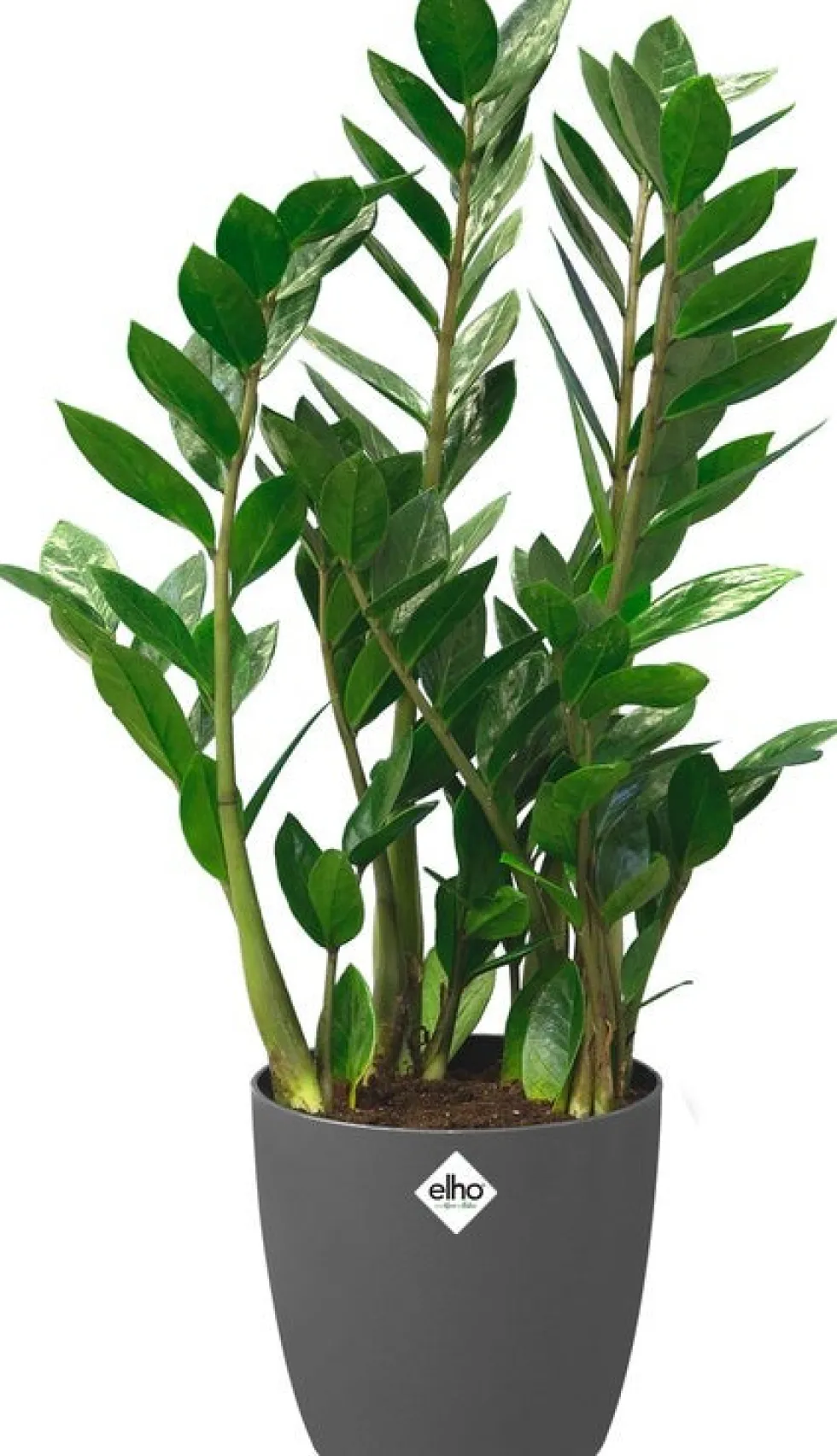 Elho bloempot Brussels antraciet D 35 H 33 cm
