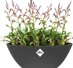 Elho bloempot Brussels antraciet 36 x 16 x 13,1 cm
