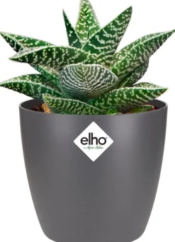 Elho bloempot Brussels antraciet D 10 H 8,9 cm