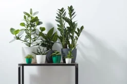 Elho bloempot Brussels antraciet D 13,5 H 12,6 cm
