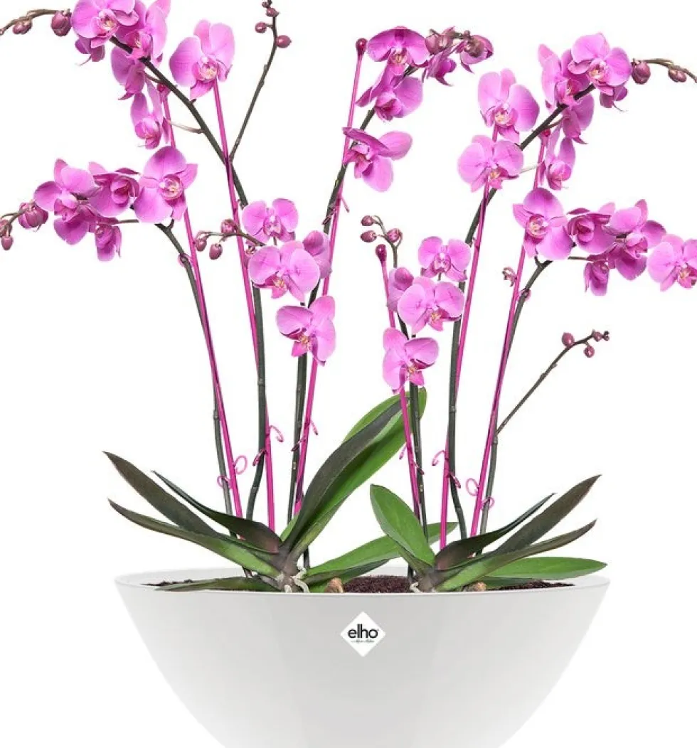 Elho bloempot Brussels diamond wit D 16,5 H 13 cm