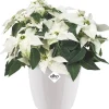 Elho bloempot Brussels diamond wit D 13,6 H 12,5 cm