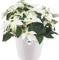 Elho bloempot Brussels diamond wit D 18,1 H 16,2 cm