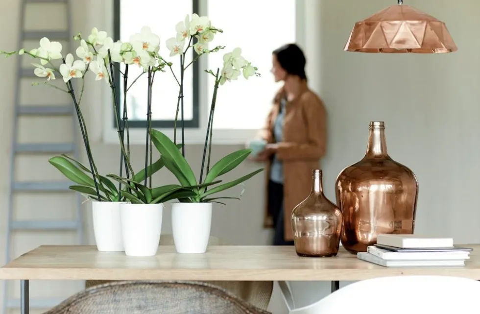 Elho bloempot Brussels orchidee wit D 12,5 H 15 cm