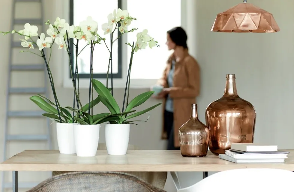 Elho bloempot Brussels orchidee wit D 12,5 H 15 cm