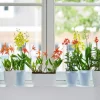 Elho bloempot Brussels orchidee transparant D 12,5 H 15,5 cm