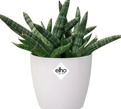 Elho bloempot Brussels wit D 6,7 H 6 cm