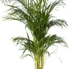Elho bloempot Brussels wit D 29,5 H 27,1 cm