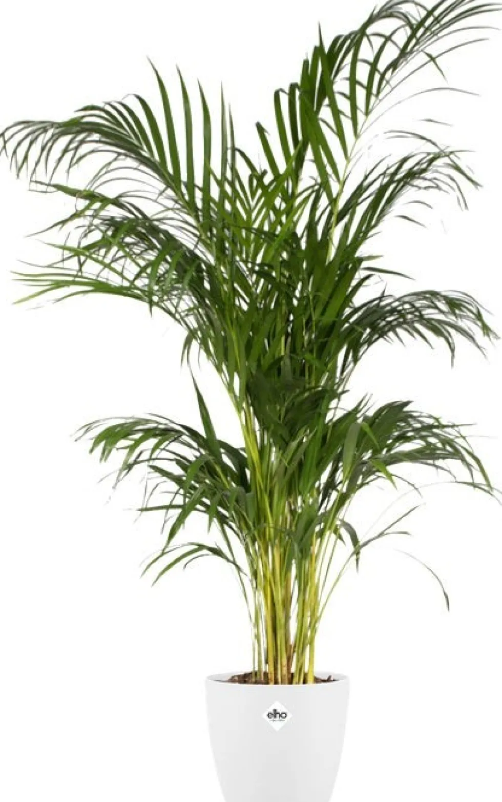 Elho bloempot Brussels wit D 24,3 H 23,2 cm