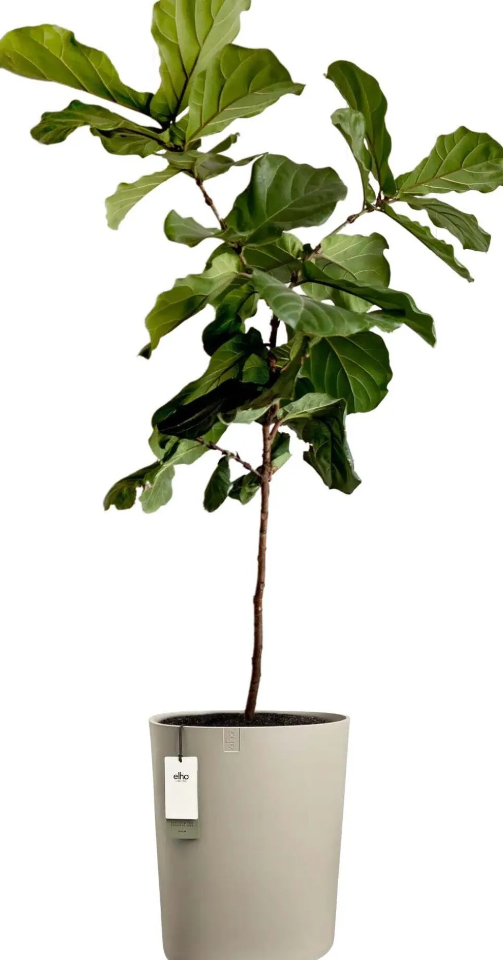 Elho bloempot Eden Aquacare taupe 39 x 39 x 50 cm