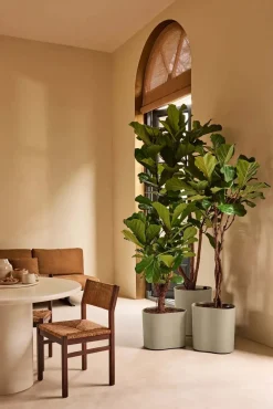 Elho bloempot Eden Aquacare taupe 38 x 38 x 42 cm