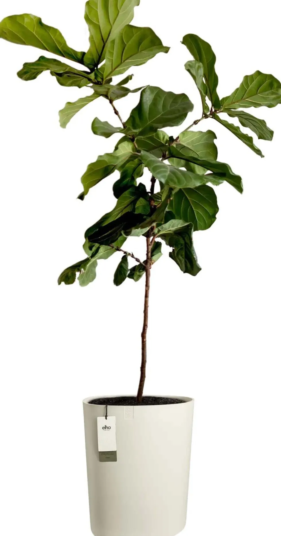 Elho bloempot Eden Aquacare wit 39 x 39 x 50 cm