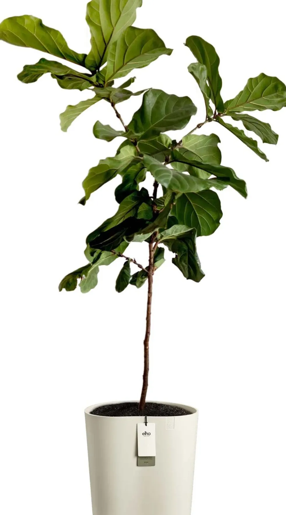 Elho bloempot Eden Aquacare wit 38 x 38 x 42 cm