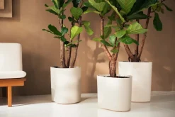 Elho bloempot Eden Aquacare wit 38 x 38 x 42 cm
