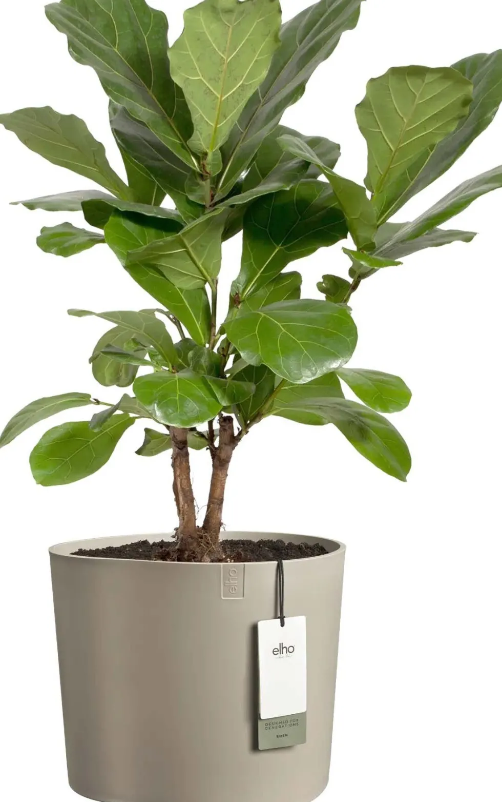 Elho bloempot Eden taupe 33 x 35 x 32 cm