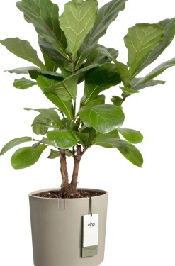 Elho bloempot Eden taupe 28 x 30 x 28 cm