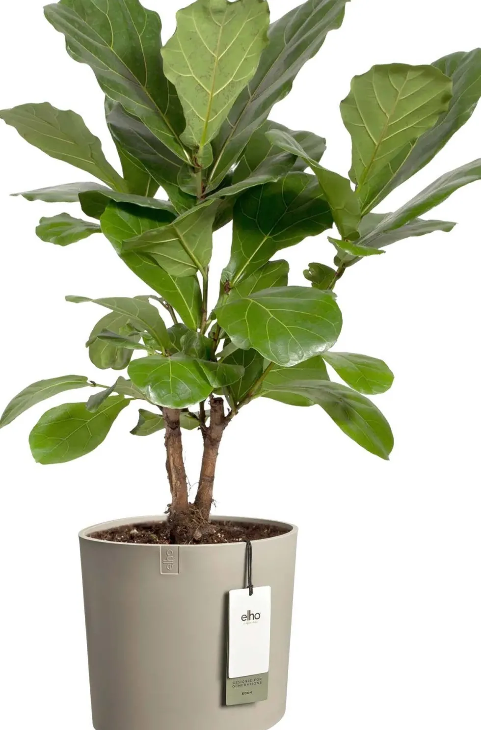 Elho bloempot Eden taupe 28 x 30 x 28 cm
