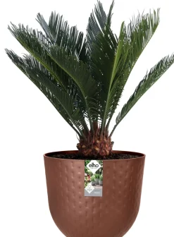 Elho bloempot Fuente bruin D 30 H 24 cm