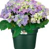 Elho bloempot Green Basics groen D 64 H 48,5 cm