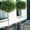 Elho bloempot Green Basics zwart D 43,8 H 33,8 cm