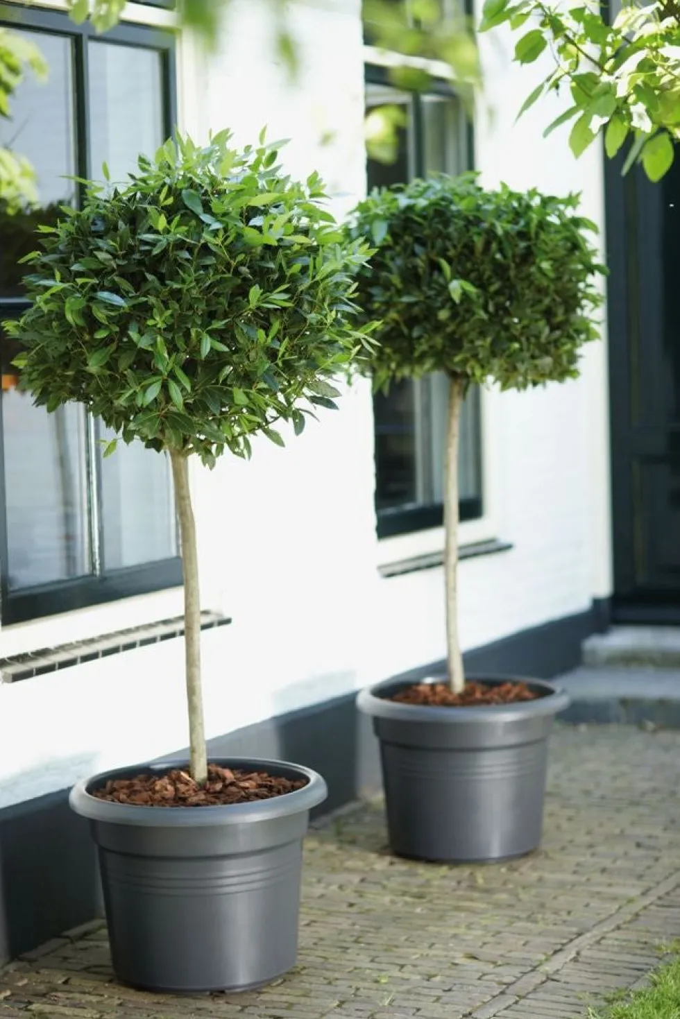 Elho bloempot Green Basics zwart D 29,5 H 22,4 cm