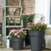 Elho bloempot Green Basics zwart D 47 H 40 cm