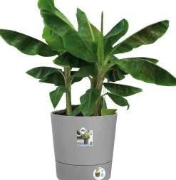 Elho bloempot Greensense Aqua Care grijs D 43 H 42,5 cm