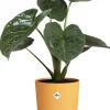 Elho bloempot Jazz geel D 23,1 H 21,5 cm