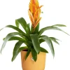 Elho bloempot Jazz geel D 14,2 H 13,1 cm
